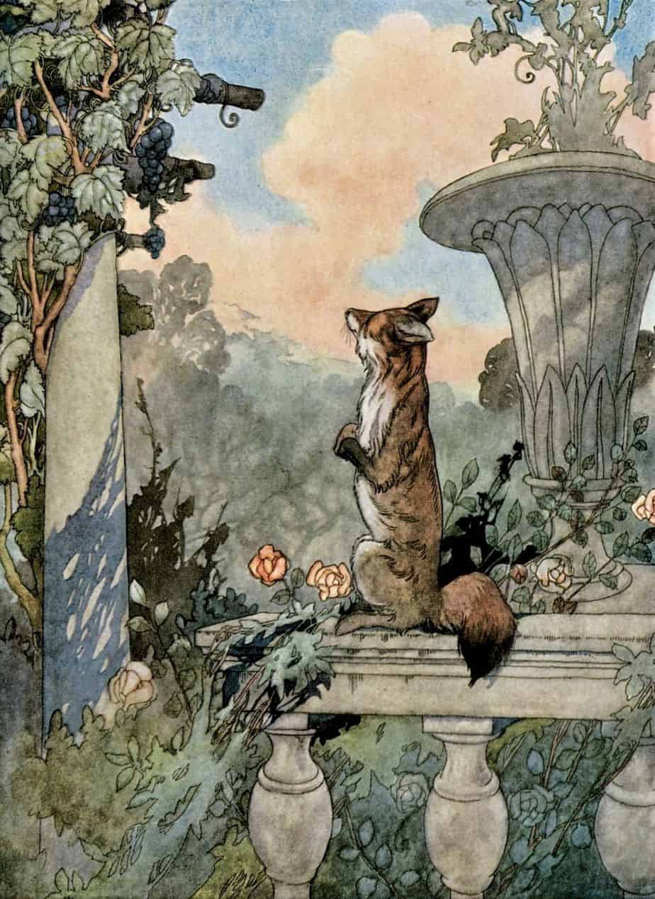 Charles Robinson (1870–1937) 1935 illustration The Fox and the Grapes for Aesop's Fables