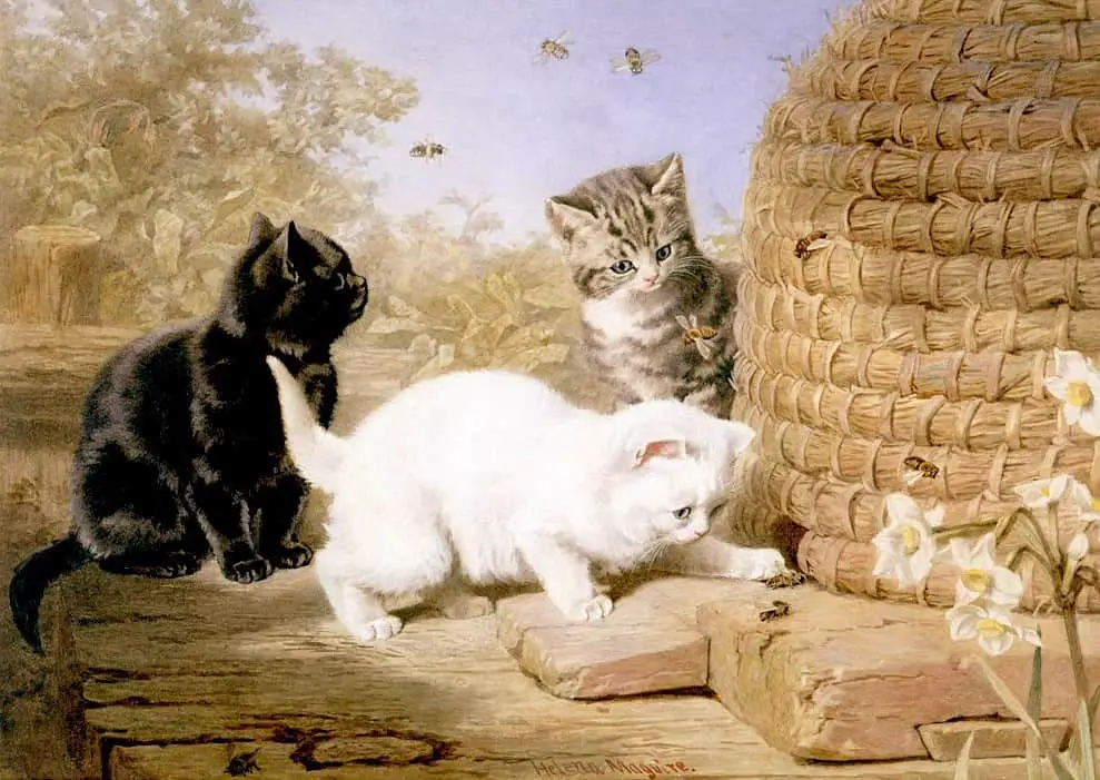 'Three's Trouble' – three kittens by a beehive, one white, one black and one tabby kitten by Helena Maguire