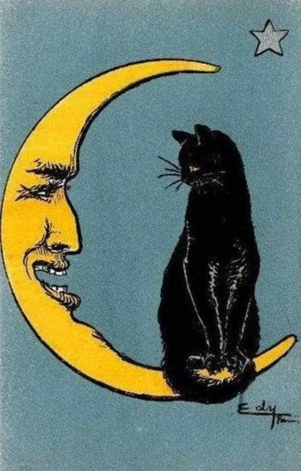 From a vintage French postcard, c.1917 cat moon
