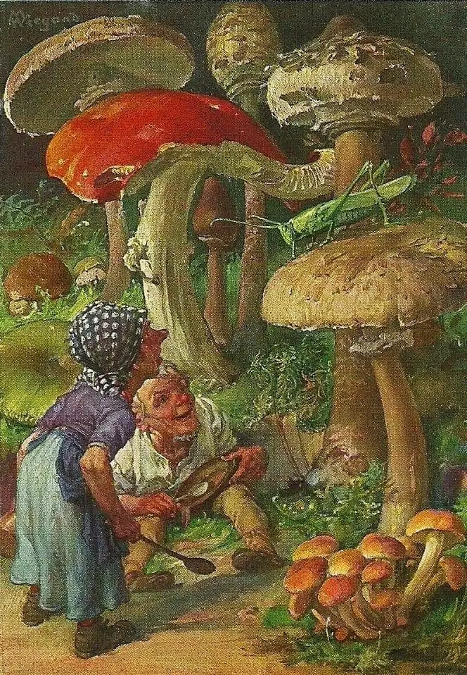 German artist Martin Wiegand 1867-1961 gnomes meeting a grasshopper mushroom