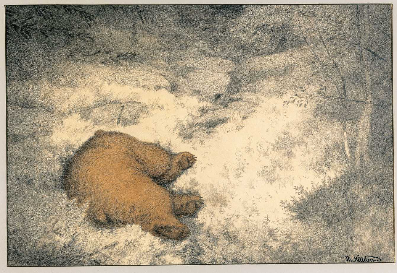Bruin Asleep in the Blueberry Bushes. From Tirelil Tove series Theodor Kittelsen 1900