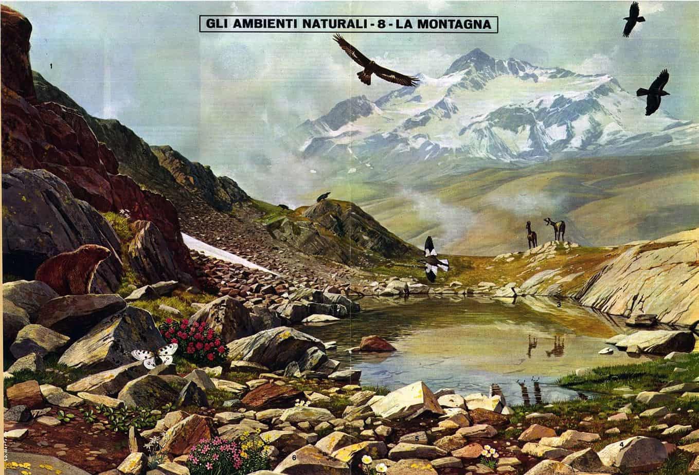 Natural Environment - The Mountain - Corriere dei Piccoli Centerfold by G.B. Bertelli, 1967