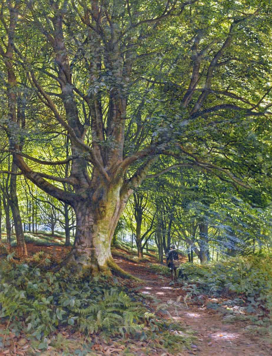 Bonomi Edward Warren - Sportsman and dog on a wooded path