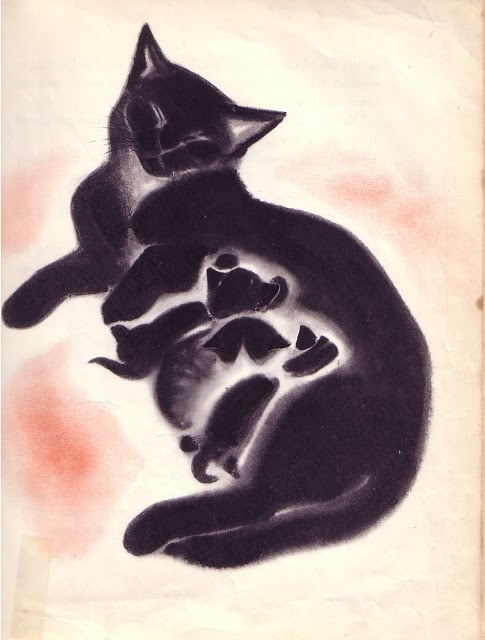 Clare Turlay Newberry (American, 1903-1970) cat kittens