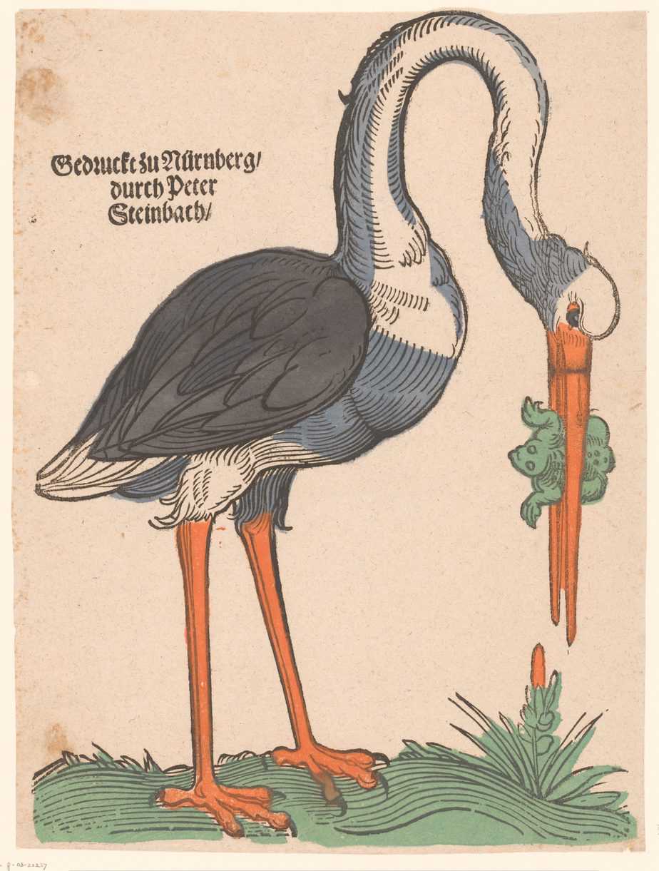 Stork with a frog, anonymous, 1586 - 1636