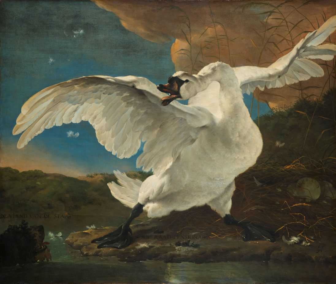 The Threatened Swan, Jan Asselijn, c. 1650