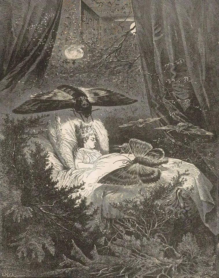 illustration of a childhood dream of 1874 from Ladies' flower cabinet vol. 3 No. 33