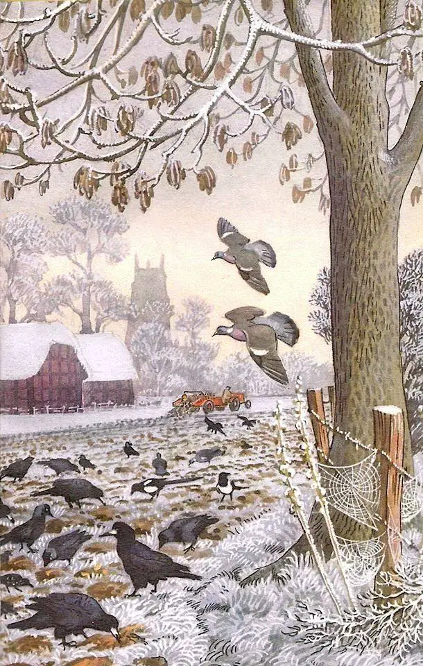 Charles Tunnicliffe what to Look for in Winter' 1959 Ladybird books barn farm spider