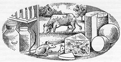 Good Housekeeping's Cookery Book Illustrations By Fred Reeves and Douglas Woodall, Ebury Press London 1948 peephole cow