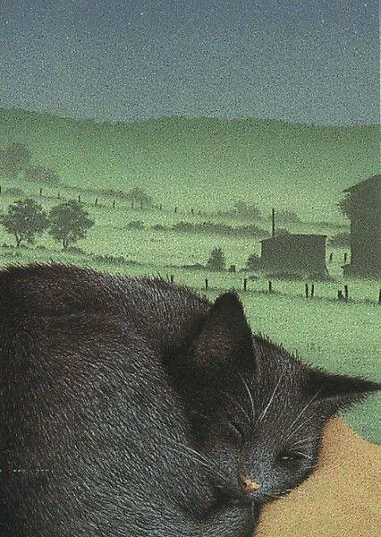Quint Buchholz (German artist-Illustrator) cat