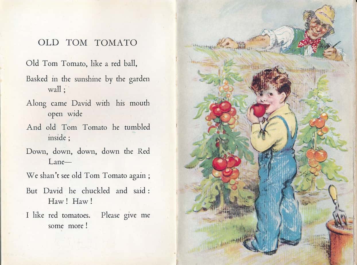 The Ladybird Book Of Bedtime Stories Geoffrey Lapage, Illustrations George Brook (Wills & Hepworth Ltd., Loughborough UK, 9th edition 1950) tomato