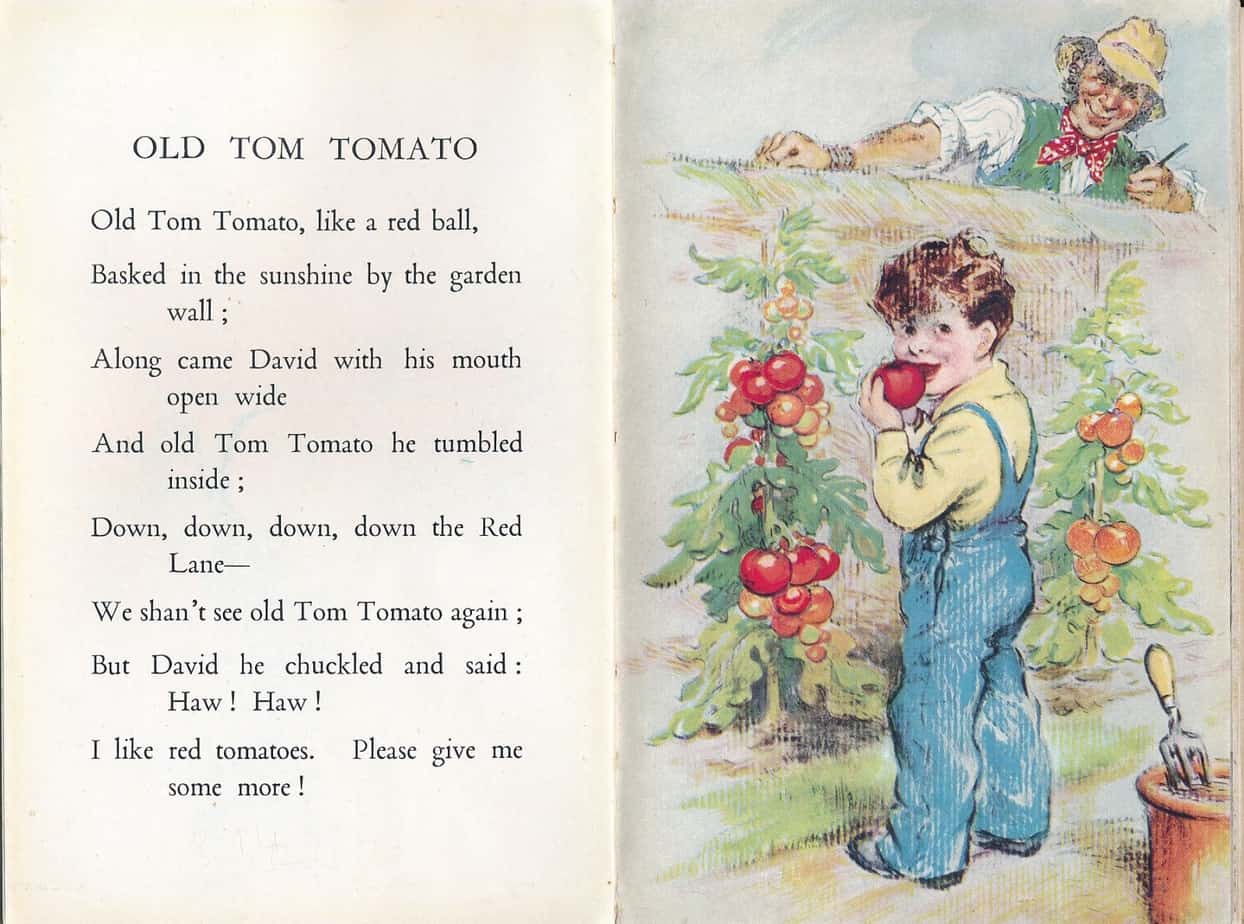 The Ladybird Book Of Bedtime Stories Geoffrey Lapage, Illustrations George Brook (Wills & Hepworth Ltd., Loughborough UK, 9th edition 1950)  tomato