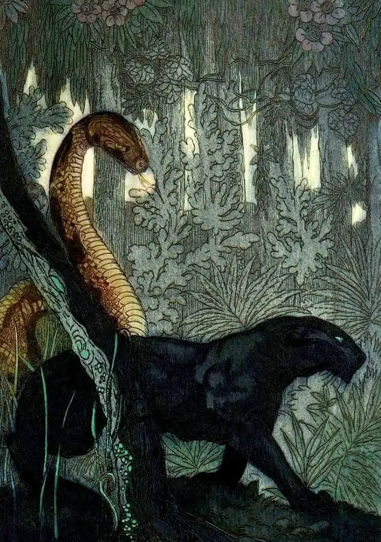 Bagheera and Kaa, Illustration for The Jungle Book, Maurice de Becque, 1924