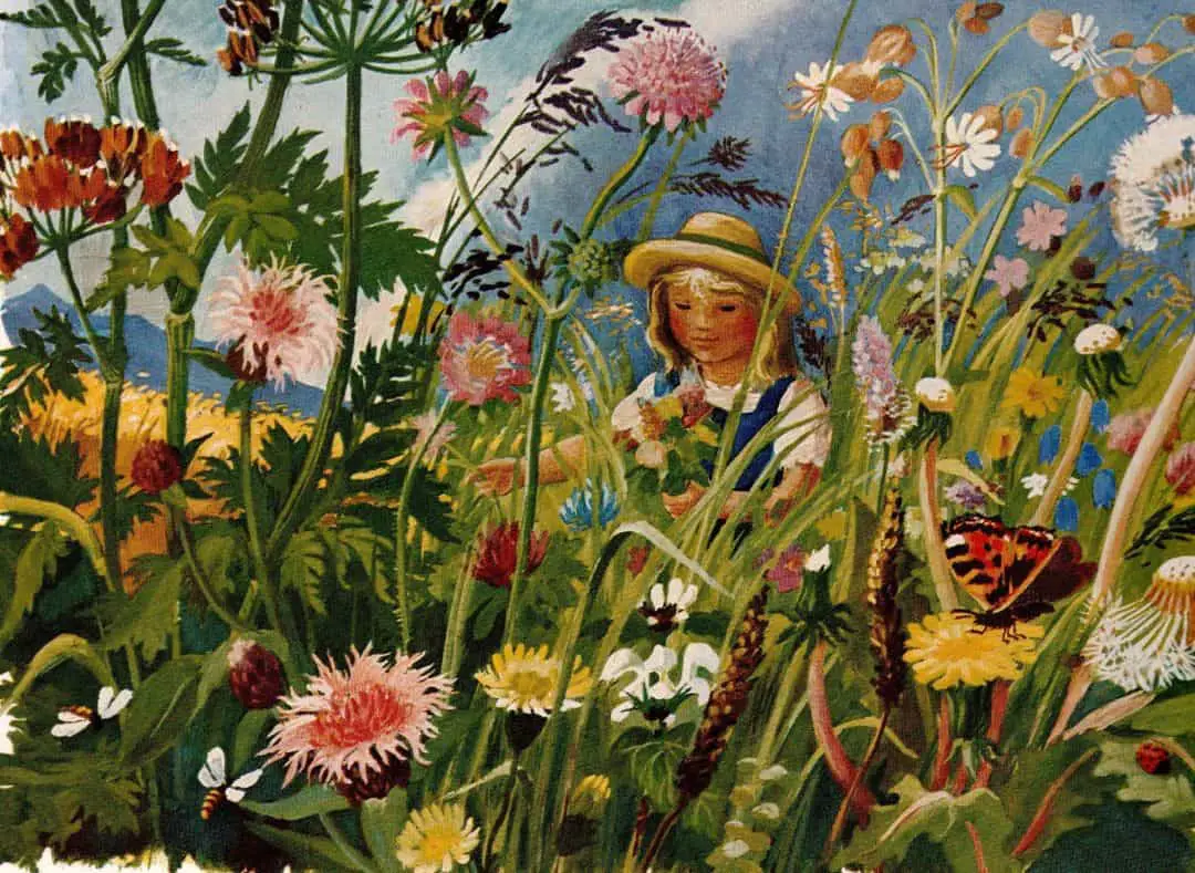 Flower meadow in a book by Peter Leitheim