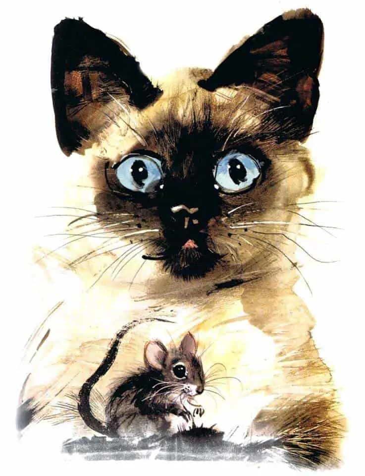 Janusz Grabianski Siamese Cat (and mouse)