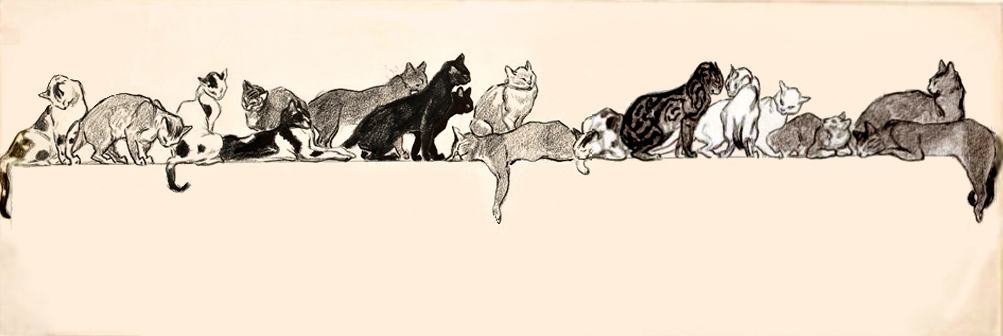 Seventeen Cats on a Ledge, Théophile Alexandre Steinlen, L'Illustration magazine, March 1901