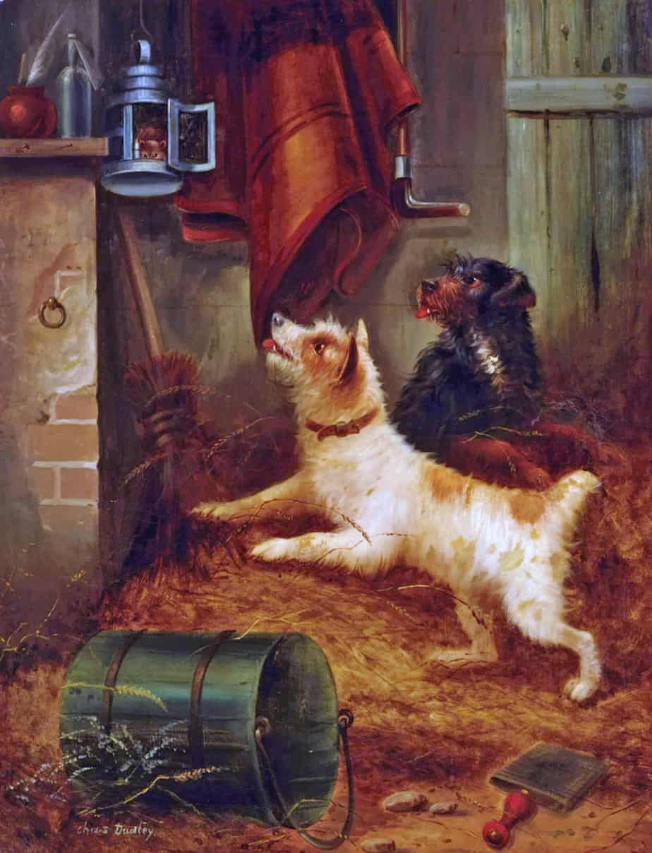 Charles Dudley - Alight with Interest dogs see mice in a lantern in a barn