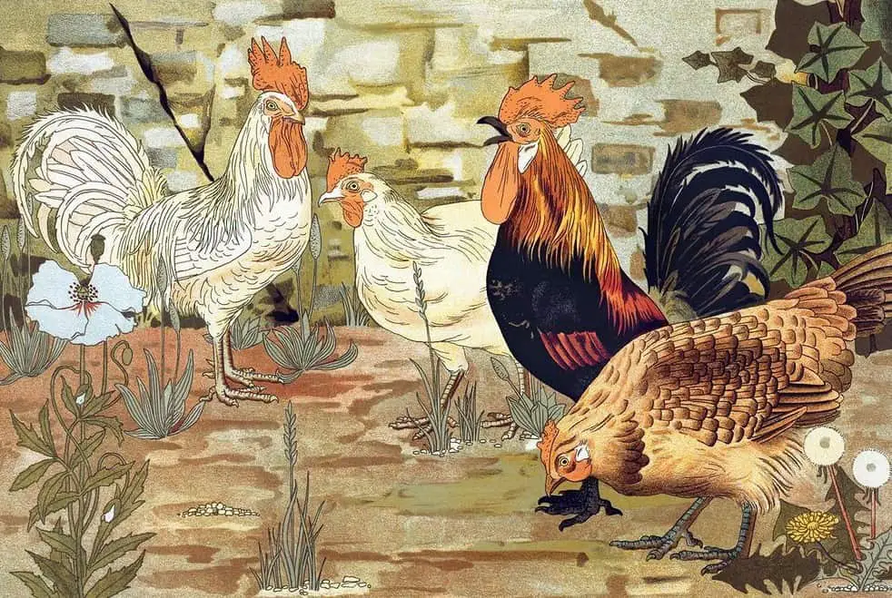 Chickens From L'animal dans la Décoration (1897) by Maurice Pillard Verneuil (1869–1942), French artist and decorator in the Art Nouveau and Art Deco movement
