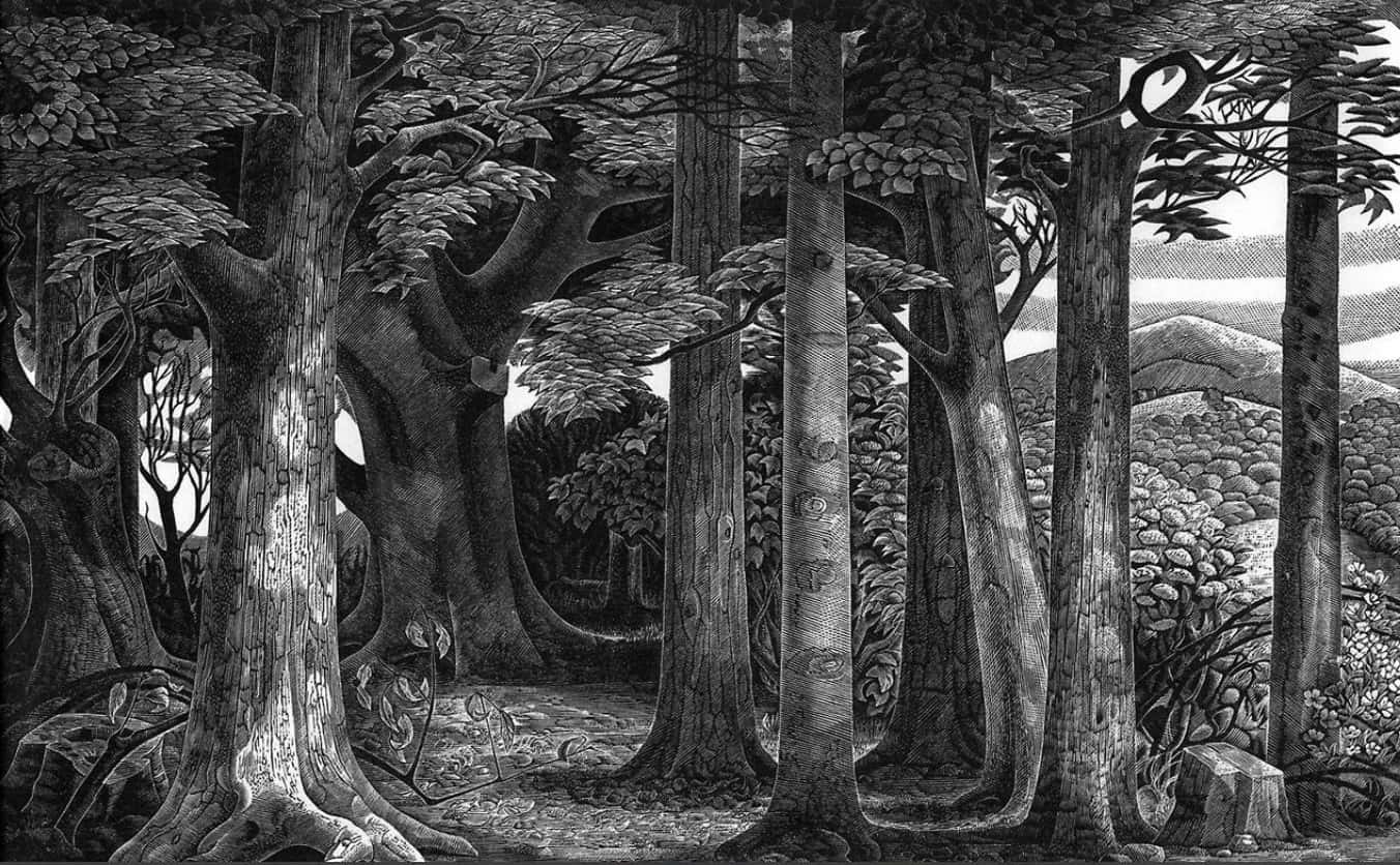 Edge of the Woods by Monica Poole (1921-2003), wood engraving