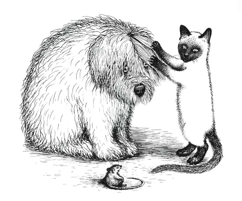 Harry Cat's Pet Puppy illustrated by Garth Williams