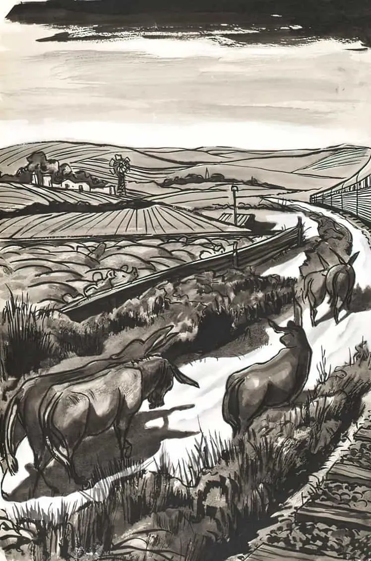 Illustration by Achille Wildi, circa 1955. Cattle aren't that easy to draw. These look kind of like donkeys to me. 