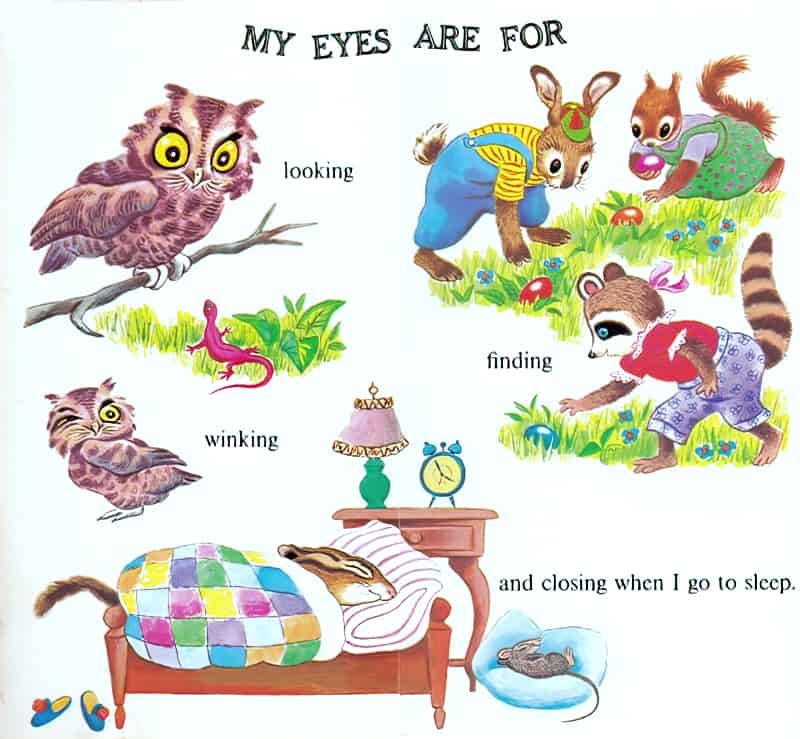 My Head-to-Toe Book by Jean Tymns, illustrated by Tibor Gergely (1974) eyes