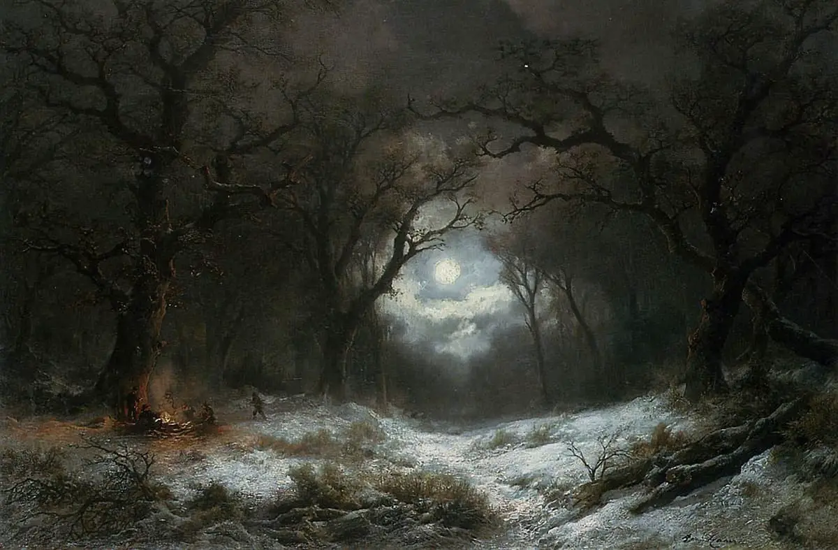 Illustrations Of The Forest At Night