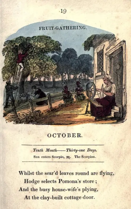 The Juvenile almanack, or, Series of monthly emblems c1822-1824 spinning
