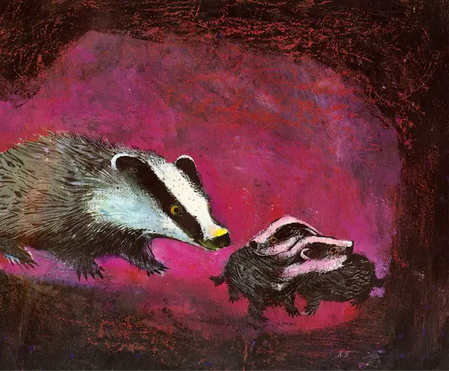 badgers underground. A mother badger with two babies