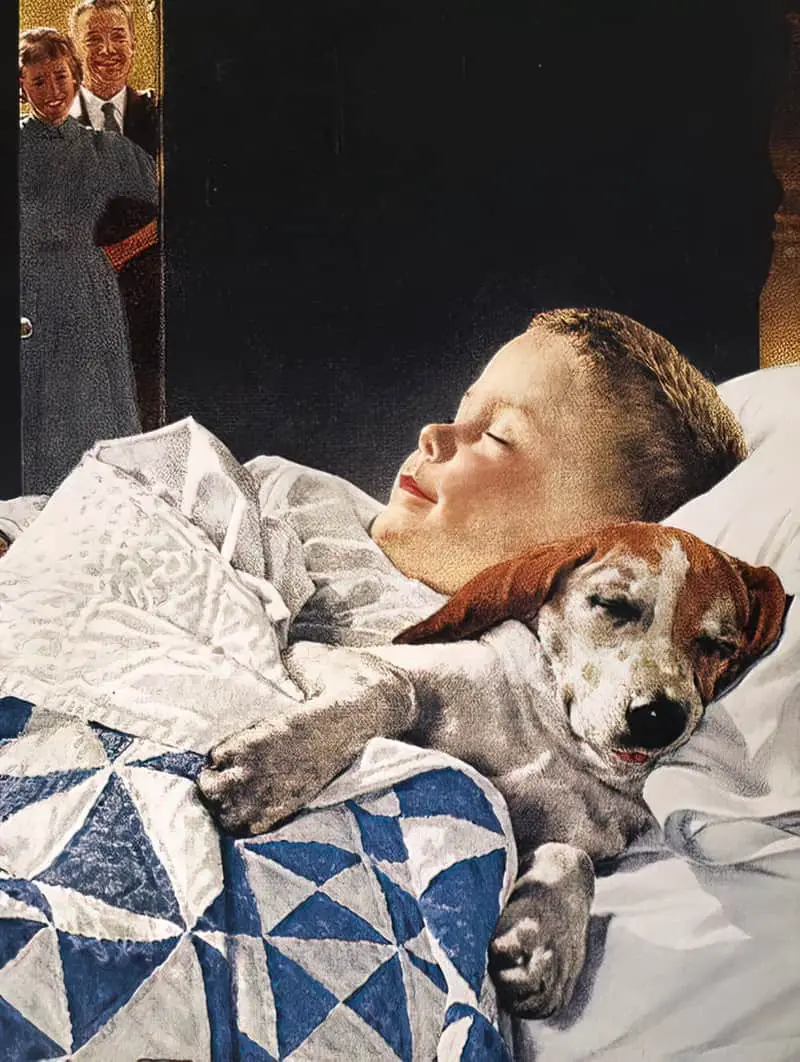 Douglas Crockwell For the little man's best friend, it's sweet dreams of Friskies. An advertising illustration for Friskies dog food. c1952