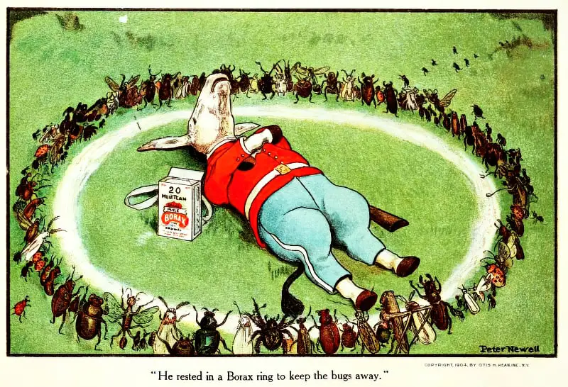 He Rested In A Borax Ring To Keep The Bugs Away 1904 Peter Newell