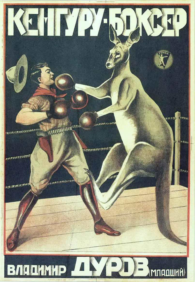 Kangaroo Boxer Poster by Vladimir Durov Jr. 1933