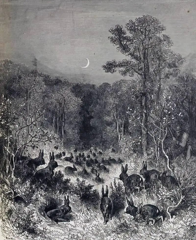 Rabbits Head Into The Forest (1868), illustration for La Fontaine's Fables by Gustave Doré (1832-1883)