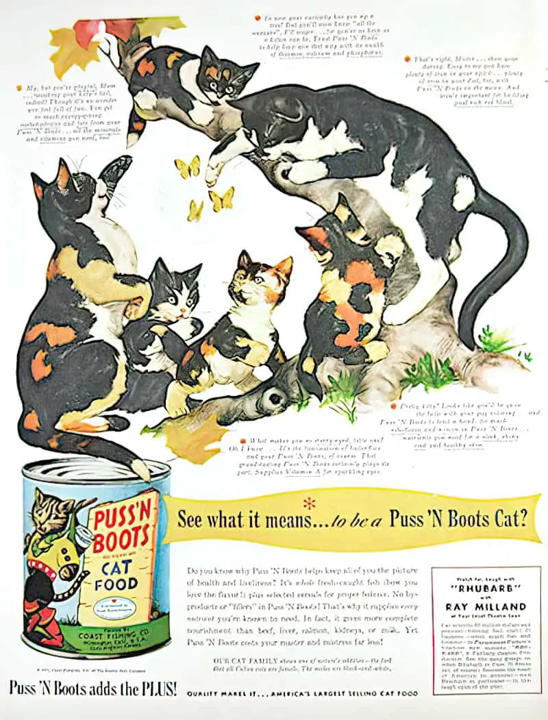 1951 Puss In Boots Cat Food Ad, Calico & Tuxedo