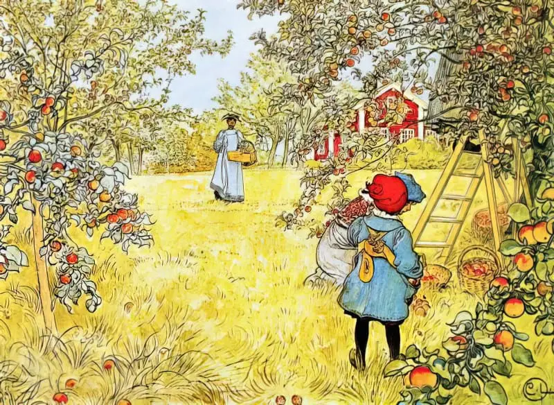 Carl Olof Larsson apple picking