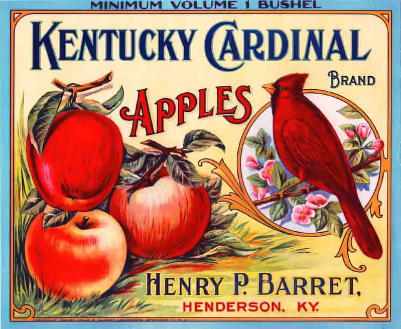 Fruit Crate Art Kentucky Cardinal Apples