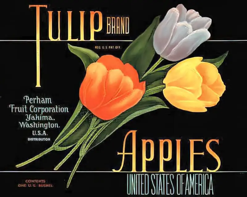 Fruit Crate Art Kentucky Tulip Brand Apples. Funnily enough, fruit crate art didn't always feature the fruit.