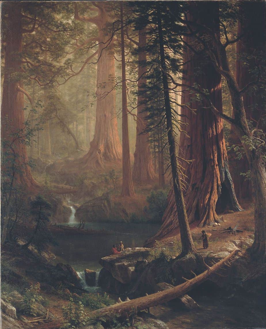 Giant Redwood Trees of California (1874) by Albert Bierstadt (German-American, 1830-1902). Berkshire Museum. These trees are among the oldest living things on Earth