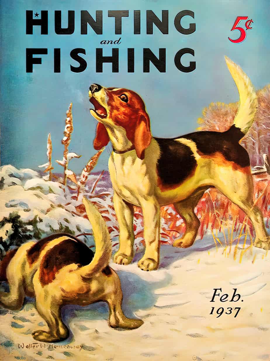 Hunting & Fishing Magazine February 1937