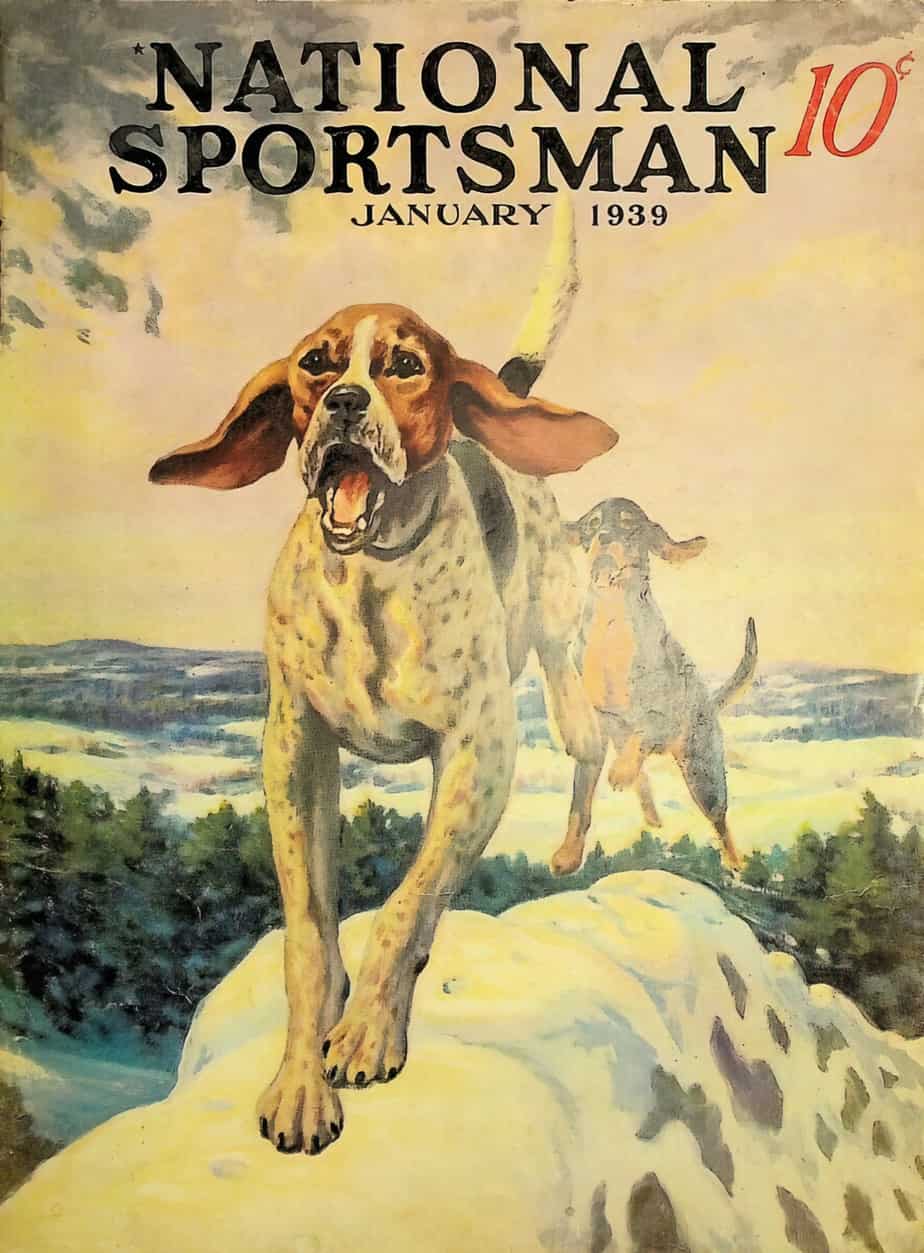 National Sportsman Magazine January 1939 dog