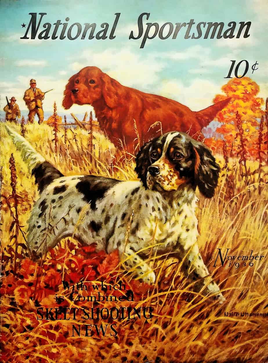 National Sportsman Magazine November 1936 B Upland Hunting Retriever dog