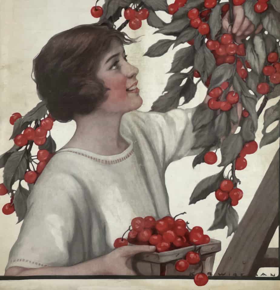 The COUNTRY GENTLEMAN Magazine cover art for MAY 19 1923, girl picking cherries