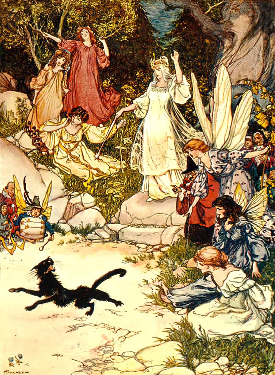 Two Old Ladies, Two Foolish Fairies and a Tom Cat by Arthur Rackham