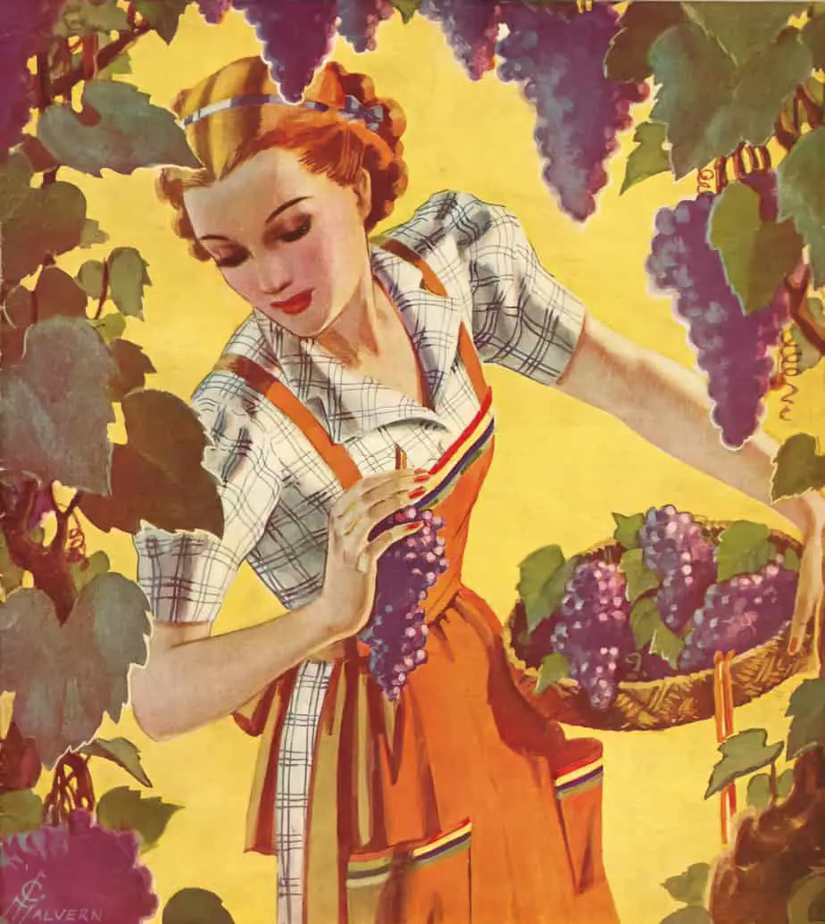 Cover art for Farmer's Wife Magazine 1938. Is she picking grapes or trying on lipstick?