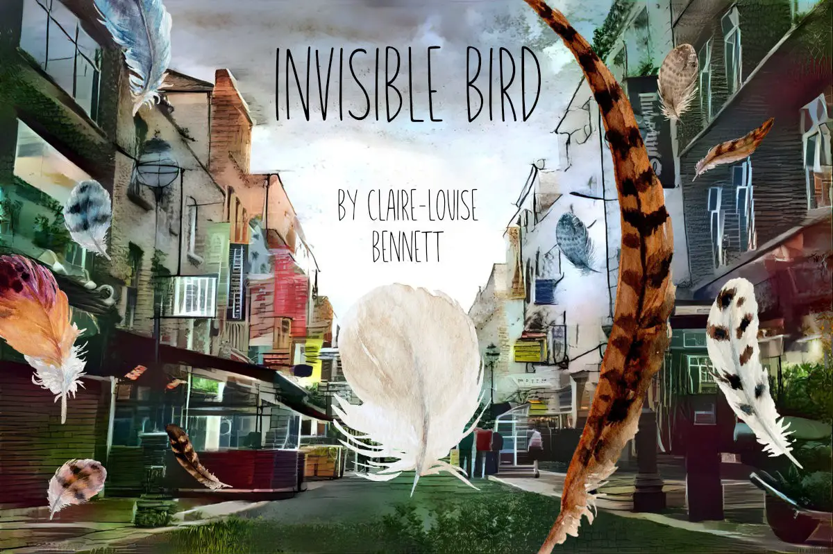 Invisible Bird by Claire-Louise Bennett Short Story Analysis