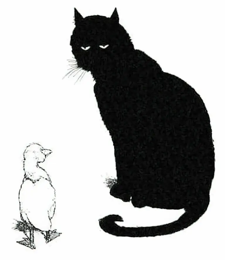 The Cat At Night by Dahlov Ipcar (1969) SLAP HAPPY LARRY