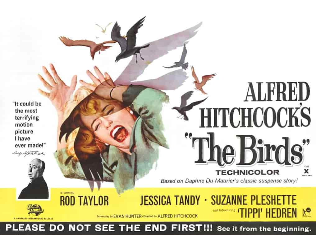 the birds by daphne du maurier hitchcock movie poster with woman attacked by birds