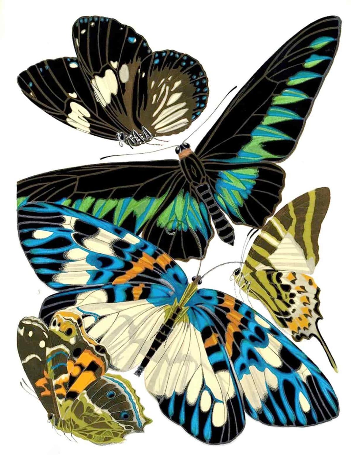 What do butterflies symbolize in literature? SLAP HAPPY LARRY