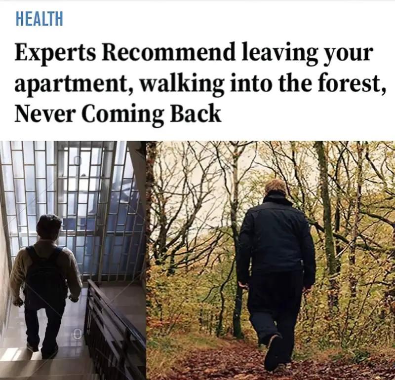 experts recommend leaving your house walking in the forest never coming back